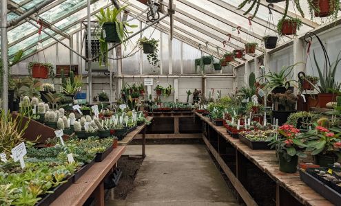 Encinal Nursery