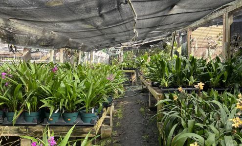 Kawamoto Orchid Nursery