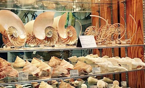 · [Shore · Goods] ·