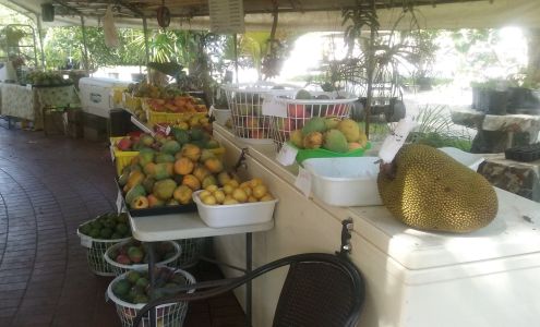 Excalibur Fruit Trees LLC Lake Worth Corridor