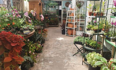 Shelldance Orchid Gardens