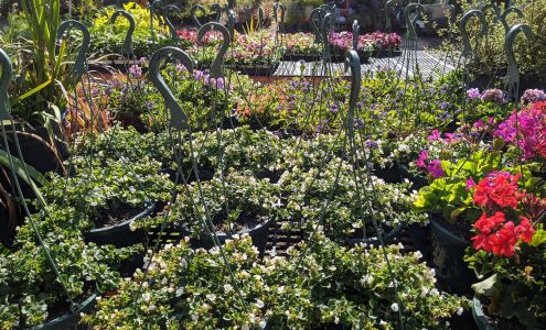 Nature's Best Nurseries