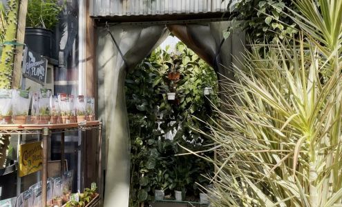 Mickey Hargitay Plants