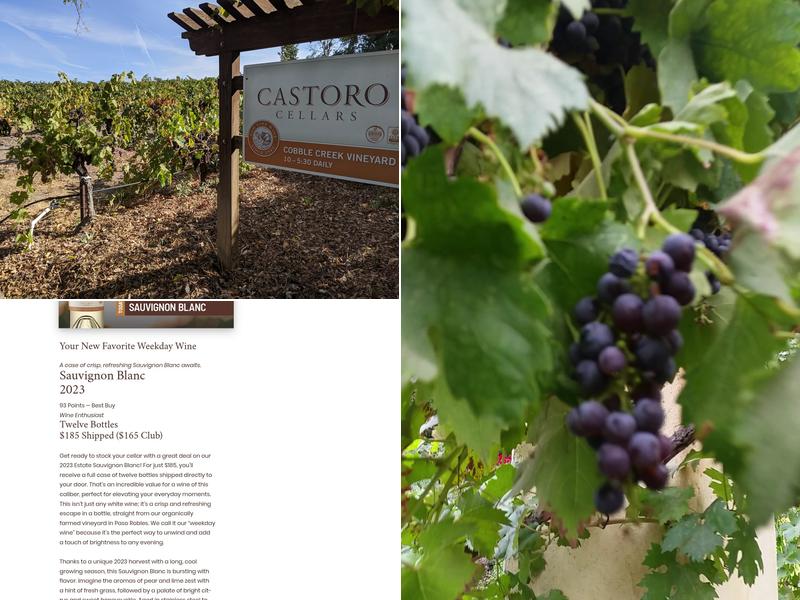 Castoro Cellars Vineyards & Winery Menu