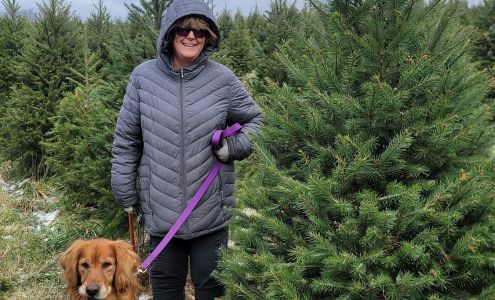 Pinecrest Christmas Tree Farm Galien