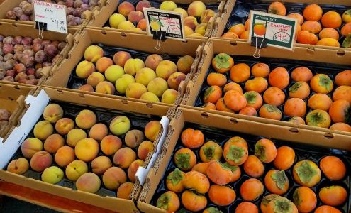 Blossom Bluff Orchards