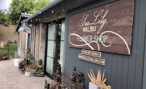 Sea Lily Malibu