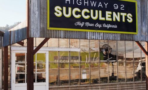 Highway 92 Succulents