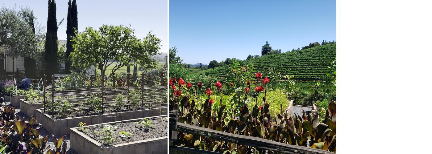 Rafanelli Winery Menu