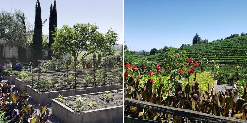 Rafanelli Winery Menu