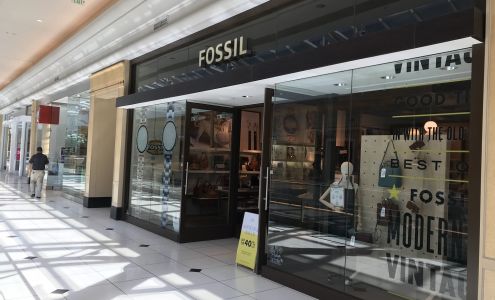 Fossil Store