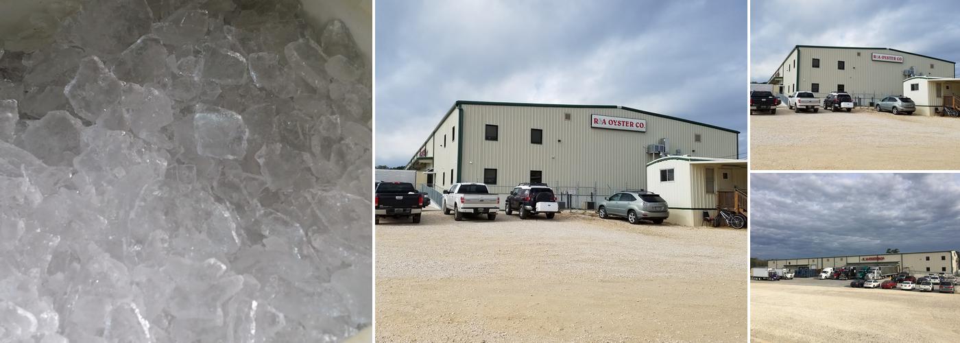 R & A Oyster Co