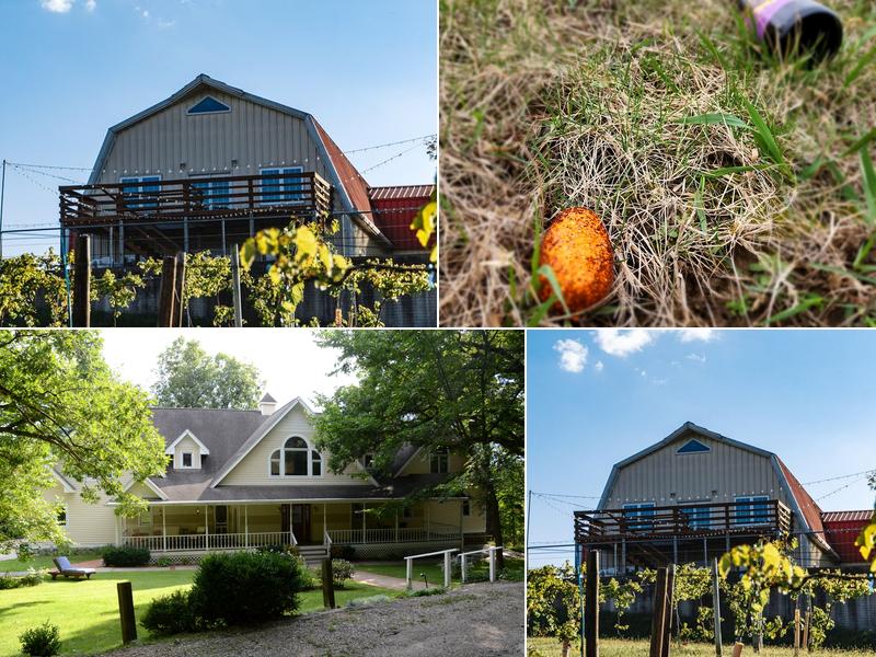 Summerset Winery 15101 Fairfax St, Indianola