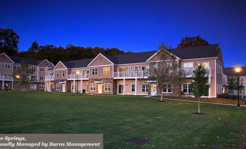 The Springs Luxury Apartments