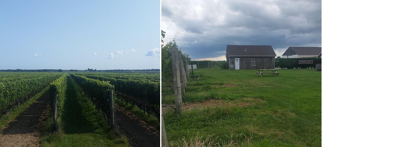 Roanoke Vineyards (members only) Menu