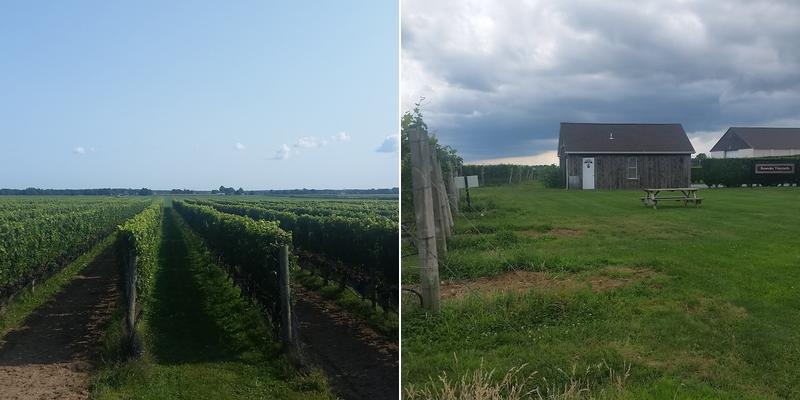 Roanoke Vineyards (members only) Menu