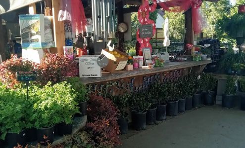 Whitfill Nurseries Inc