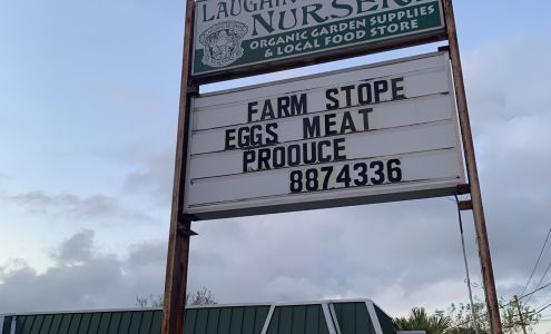 Laughing Buddha Nursery