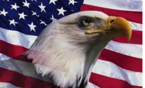 Action Sport & Power Equipment