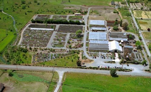 emerisa gardens (wholesale grower)