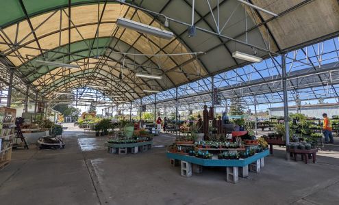 Mid City Nursery