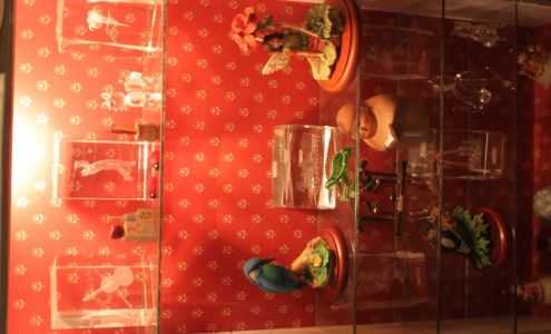 The Webster Groves Bookshop