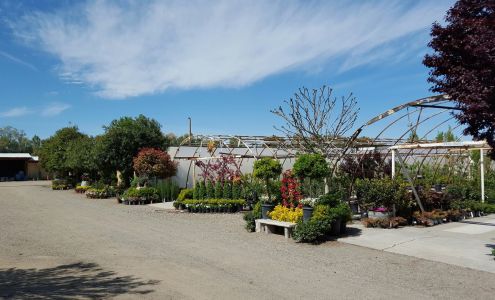 Golden Valley Nurseries