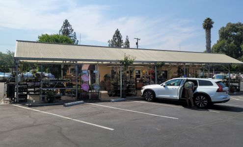 Almaden Valley Nursery