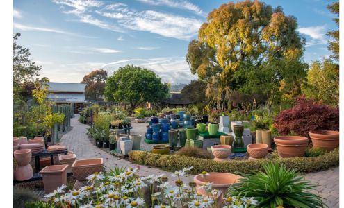 Cambria Nursery and Florist