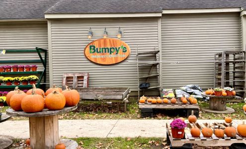 Bumpys Natural and Organic Foods