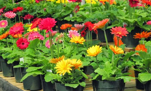 Dutch's Greenhouse, Inc.