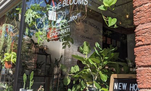 Gia and the Blooms -OTR