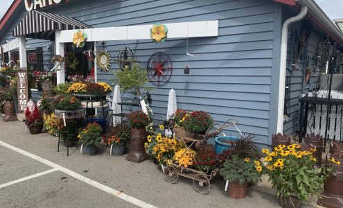 Carousel Floral Gifts & Garden
