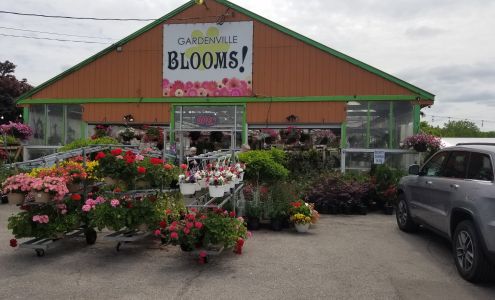 Gardenville Blooms