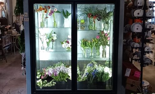 CACHEPOT Floral and Garden