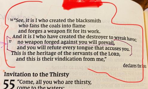 Moon Rein by Christi's