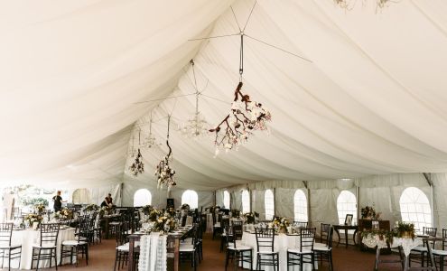 Above The Stem Floral Studio