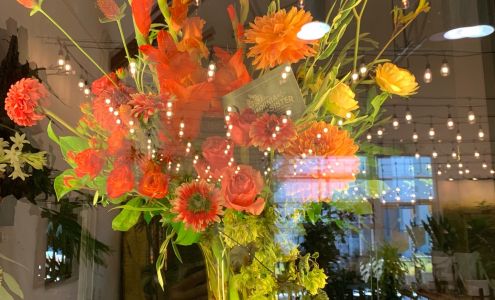 California Sister Plant & Flower