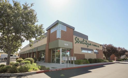 Strelitzia Flower Company