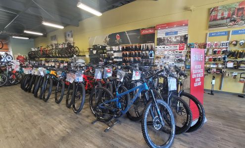 El Camino Bike Shop
