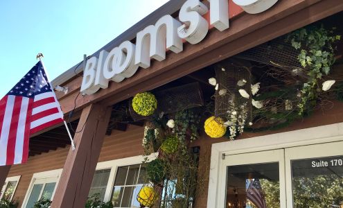 Bloomster's