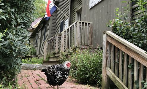 Jenness Farm Nottingham