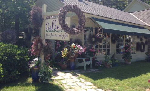 Calluna Fine Flowers