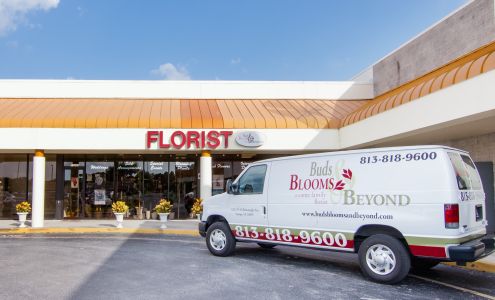 Buds Blooms & Beyond