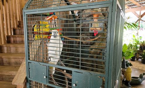 Laurel Oaks Nursery & Tree Farm