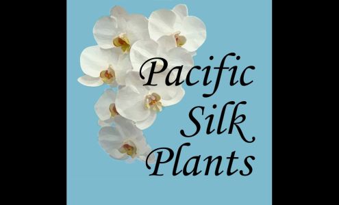 Pacific Silk Plants