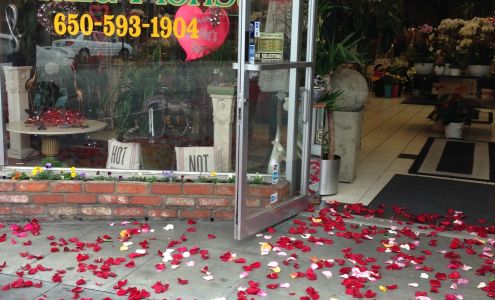 Plaza Florist & Gifts