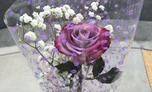 California Professional Style