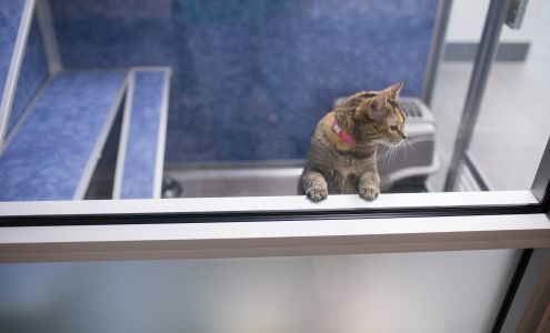 NOCO Humane (formerly Larimer Humane Society)