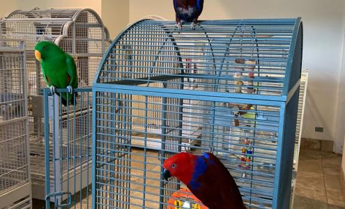 Exotic Birds of Denver